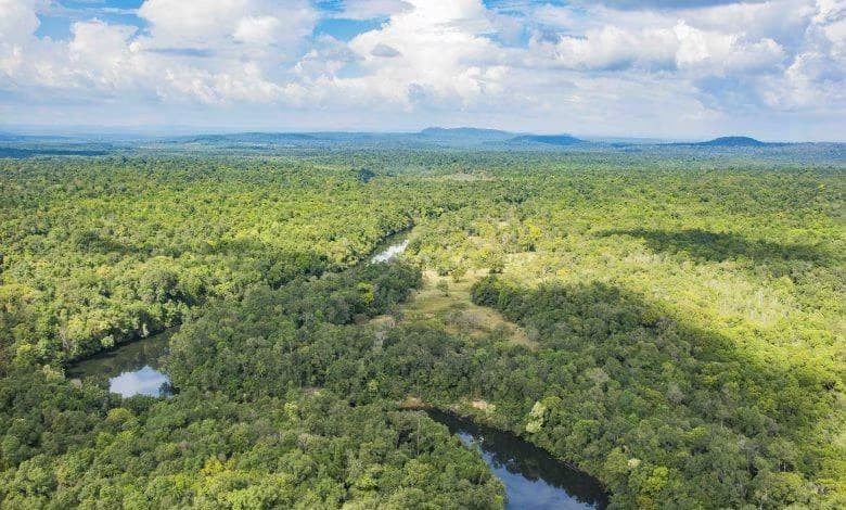 Trekking à Koh Kong & balnéaire
